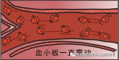 血小板是正常值的三倍？專家提醒小心血栓和出血！