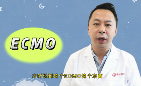 什么是ECMO？