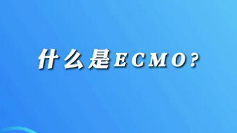 【名醫(yī)面對面之心臟100問】什么是ECMO？
