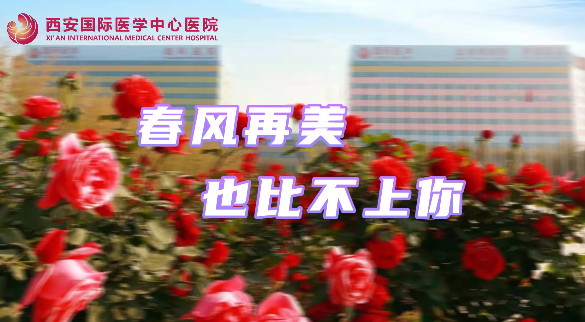 春風(fēng)再美，也比不上你……