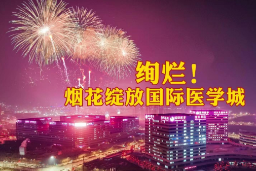 絢爛！煙花綻放國際醫(yī)學城